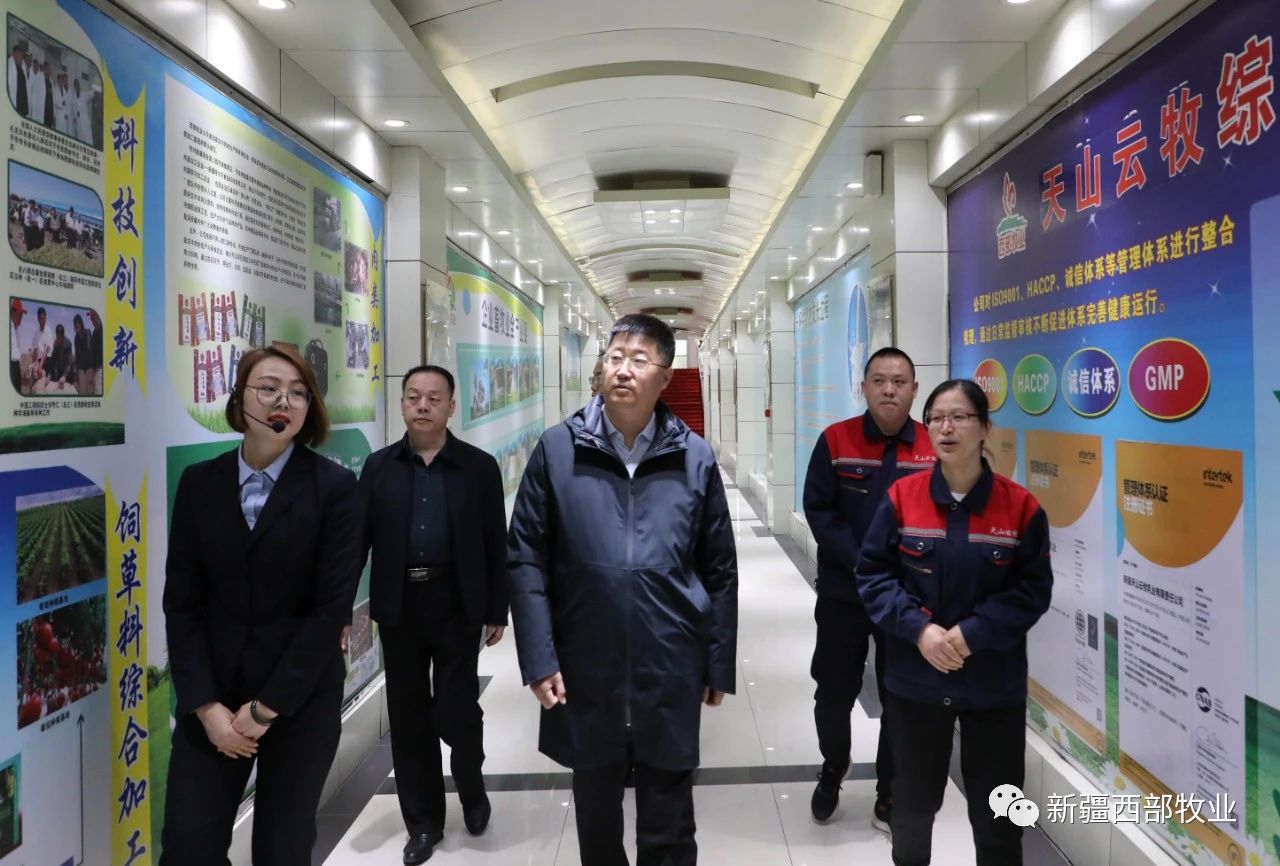 八師石河子市黨委常委、八師副師長趙日強到天山云牧公司調研